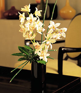  Antalya Asya iekiler  cam yada mika vazo ierisinde dal orkide