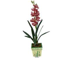 zel Yapay Orkide Pembe   Antalya Asya 14 ubat sevgililer gn iek 