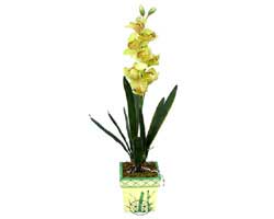 zel Yapay Orkide Sari  Antalya Asya iek yolla , iek gnder , ieki  