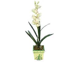 zel Yapay Orkide Beyaz   Antalya Asya online ieki , iek siparii 