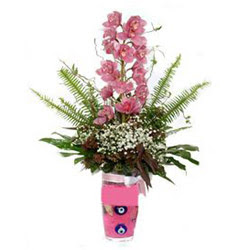  Antalya Asya hediye iek yolla  cam yada mika vazo ierisinde tek dal orkide iegi