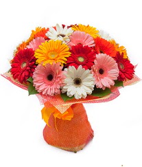 Renkli gerbera buketi  Antalya Asya anneler günü çiçek yolla 