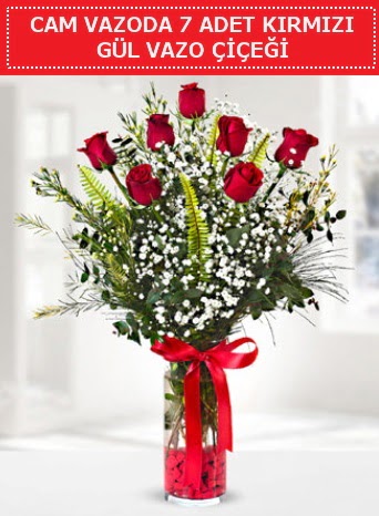 Cam vazoda 7 adet kırmızı gül çiçeği  Antalya Asya çiçek gönderme sitemiz güvenlidir 