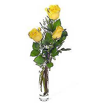  Antalya Asya internetten çiçek siparişi  3 adet kalite cam yada mika vazo gül