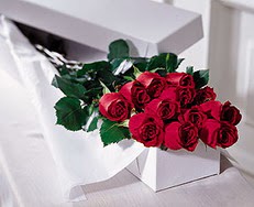  Antalya Asya çiçek satışı  özel kutuda 12 adet gül