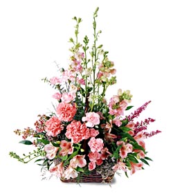  Antalya Asya ucuz çiçek gönder  mevsim çiçeklerinden özel