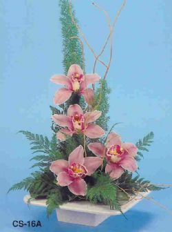  Antalya Asya çiçekçi telefonları  vazoda 4 adet orkide 