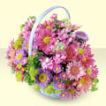  Antalya Asya yurtiçi ve yurtdışı çiçek siparişi  bir sepet dolusu kir çiçegi  Antalya Asya çiçek gönderme sitemiz güvenlidir 