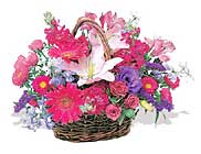 küçük karisik özel sepet   Antalya Asya çiçek online çiçek siparişi 