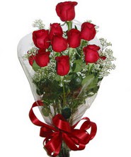 9 adet kaliteli kirmizi gül   Antalya Asya online çiçekçi , çiçek siparişi 