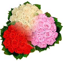 3 renkte gül seven sever   Antalya Asya çiçek , çiçekçi , çiçekçilik 