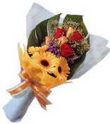 güller ve gerbera çiçekleri   Antalya Asya çiçek gönderme sitemiz güvenlidir 
