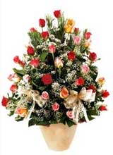 91 adet renkli gül aranjman   Antalya Asya çiçek gönderme sitemiz güvenlidir 