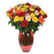 51 adet gül ve kaliteli vazo   Antalya Asya çiçek gönderme sitemiz güvenlidir 