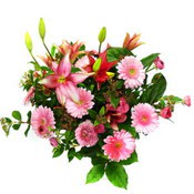 lilyum ve gerbera çiçekleri - çiçek seçimi -  Antalya Asya çiçek gönderme 