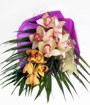  Antalya Asya cicekciler , cicek siparisi  1 adet dal orkide buket halinde sunulmakta
