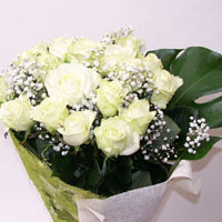  Antalya Asya hediye çiçek yolla  11 adet sade beyaz gül buketi