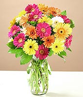  Antalya Asya çiçek online çiçek siparişi  17 adet karisik gerbera