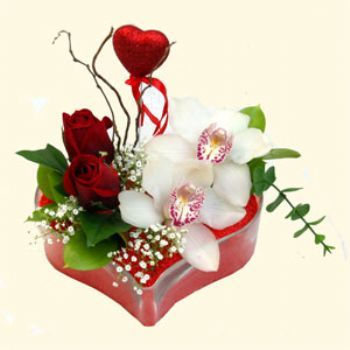  Antalya Asya hediye sevgilime hediye çiçek  1 kandil orkide 5 adet kirmizi gül mika kalp