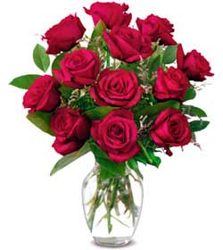  Antalya Asya online çiçek gönderme sipariş  1 düzine kirmizi gül sevenlere özel vazo gülleri