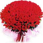 Antalya Asya online çiçekçi , çiçek siparişi  1001 adet kirmizi gülden çiçek tanzimi