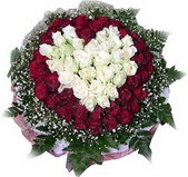  Antalya Asya çiçek mağazası , çiçekçi adresleri  27 adet kirmizi ve beyaz gül sepet içinde