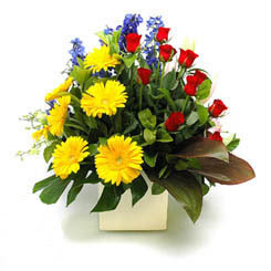  Antalya Asya online çiçek gönderme sipariş  9 adet gül ve kir çiçekleri cam yada mika vazoda