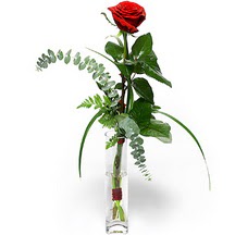  Antalya Asya 14 şubat sevgililer günü çiçek  Sana deger veriyorum bir adet gül cam yada mika vazoda