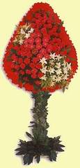  Antalya Asya çiçek gönderme  dügün açilis çiçekleri  Antalya Asya çiçek online çiçek siparişi 