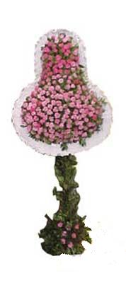 Antalya Asya ucuz çiçek gönder  dügün açilis çiçekleri  Antalya Asya internetten çiçek siparişi 