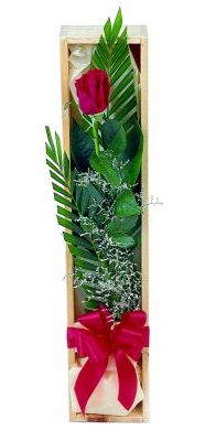 1 adet kutuda kirmizi gül  Antalya Asya çiçek gönderme sitemiz güvenlidir 