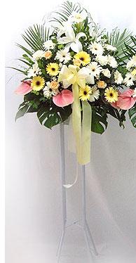  Antalya Asya online çiçek gönderme sipariş   perförje çiçegi dügün çiçekleri