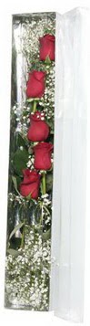  Antalya Asya çiçek siparişi sitesi   5 adet gülden kutu güller