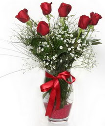 7 adet gülden cam içerisinde güller  Antalya Asya 14 şubat sevgililer günü çiçek 