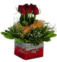  Antalya Asya çiçek gönderme  7 adet mika yada cam vazoda gül tanzimi