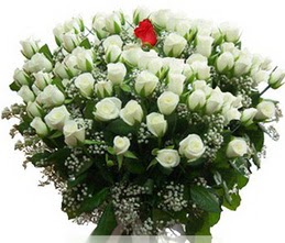  Antalya Asya internetten çiçek satışı  100 adet beyaz 1 adet kirmizi gül buketi