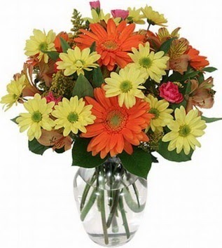  Antalya Asya hediye sevgilime hediye çiçek  vazo içerisinde karışık mevsim çiçekleri