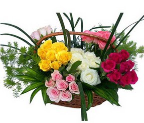  Antalya Asya ucuz çiçek gönder  35 adet rengarenk güllerden sepet tanzimi