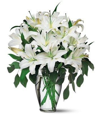  Antalya Asya internetten çiçek satışı  4 dal kazablanka ile görsel vazo tanzimi