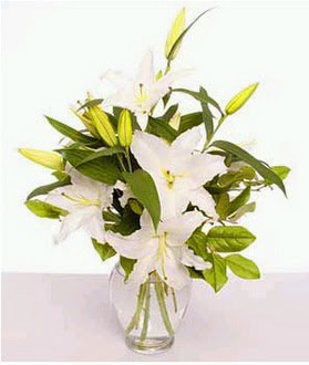  Antalya Asya çiçek gönderme  2 dal cazablanca vazo çiçeği