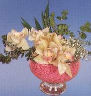  Antalya Asya çiçek mağazası , çiçekçi adresleri  Dal orkide kalite bir hediye