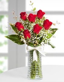 Cam vazoda 7 adet kırmızı gül  Antalya Asya çiçek , çiçekçi , çiçekçilik 