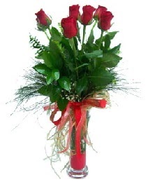 vazo içerisinde 5 kırmızı gül  Antalya Asya güvenli kaliteli hızlı çiçek 