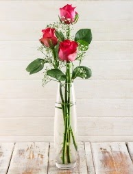 Cam içerisinde 3 kırmızı gül  Antalya Asya çiçek satışı 