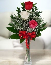 Camda 2 kırmızı 1 beyaz gül  Antalya Asya ucuz çiçek gönder 