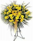  Antalya Asya yurtiçi ve yurtdışı çiçek siparişi  Sari kazablanka Ferforje