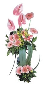  Antalya Asya güvenli kaliteli hızlı çiçek  Pembe Antoryum Harikalar Rüyasi