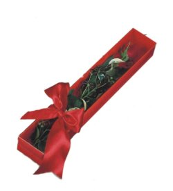  Antalya Asya çiçek online çiçek siparişi  tek kutu gül sade ve sik 