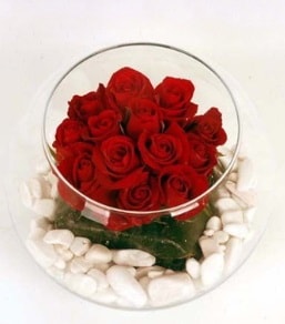 Cam fanusta 11 adet kırmızı gül  Antalya Asya çiçek gönderme 