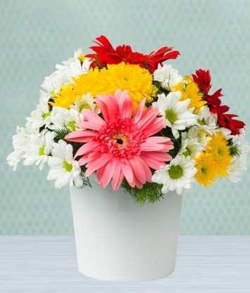 Seramik Vazoda Gelbera ve Papatya  Antalya Asya çiçek gönderme 